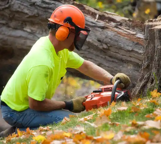 tree services La Center